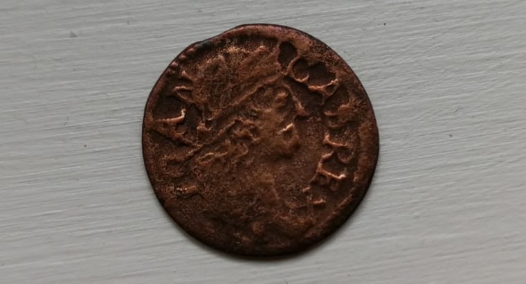 Kazimiero šilingas LDK moneta 1664 metu