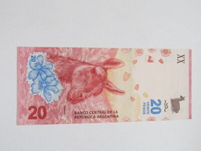 20 pesos , Argentina , 2017