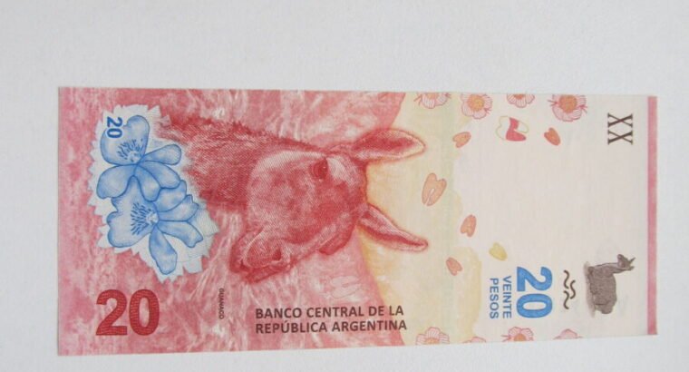 20 pesos , Argentina , 2017